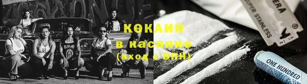 spice Алзамай