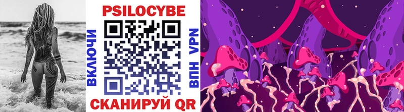 Галлюциногенные грибы GOLDEN TEACHER купить закладку mega tor Кондопога